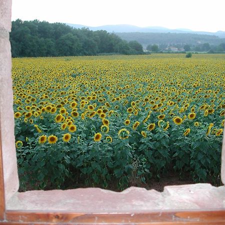 Casale Il Colombaio Di Toiano Pension Valli Buitenkant foto