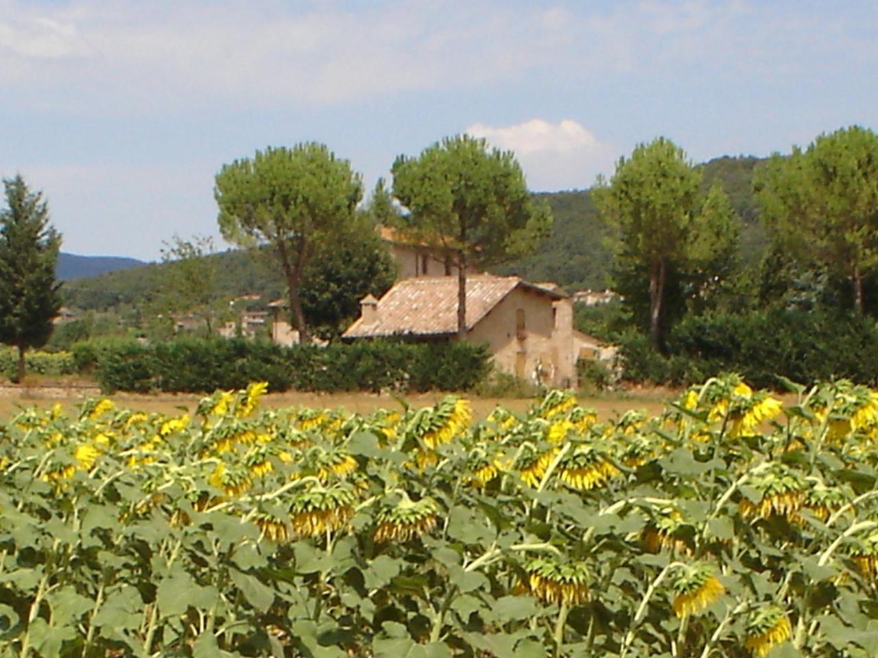 Casale Il Colombaio Di Toiano Pension Valli Buitenkant foto