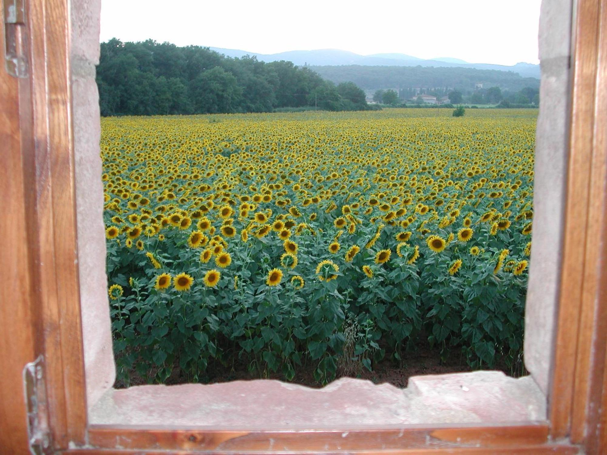 Casale Il Colombaio Di Toiano Pension Valli Buitenkant foto
