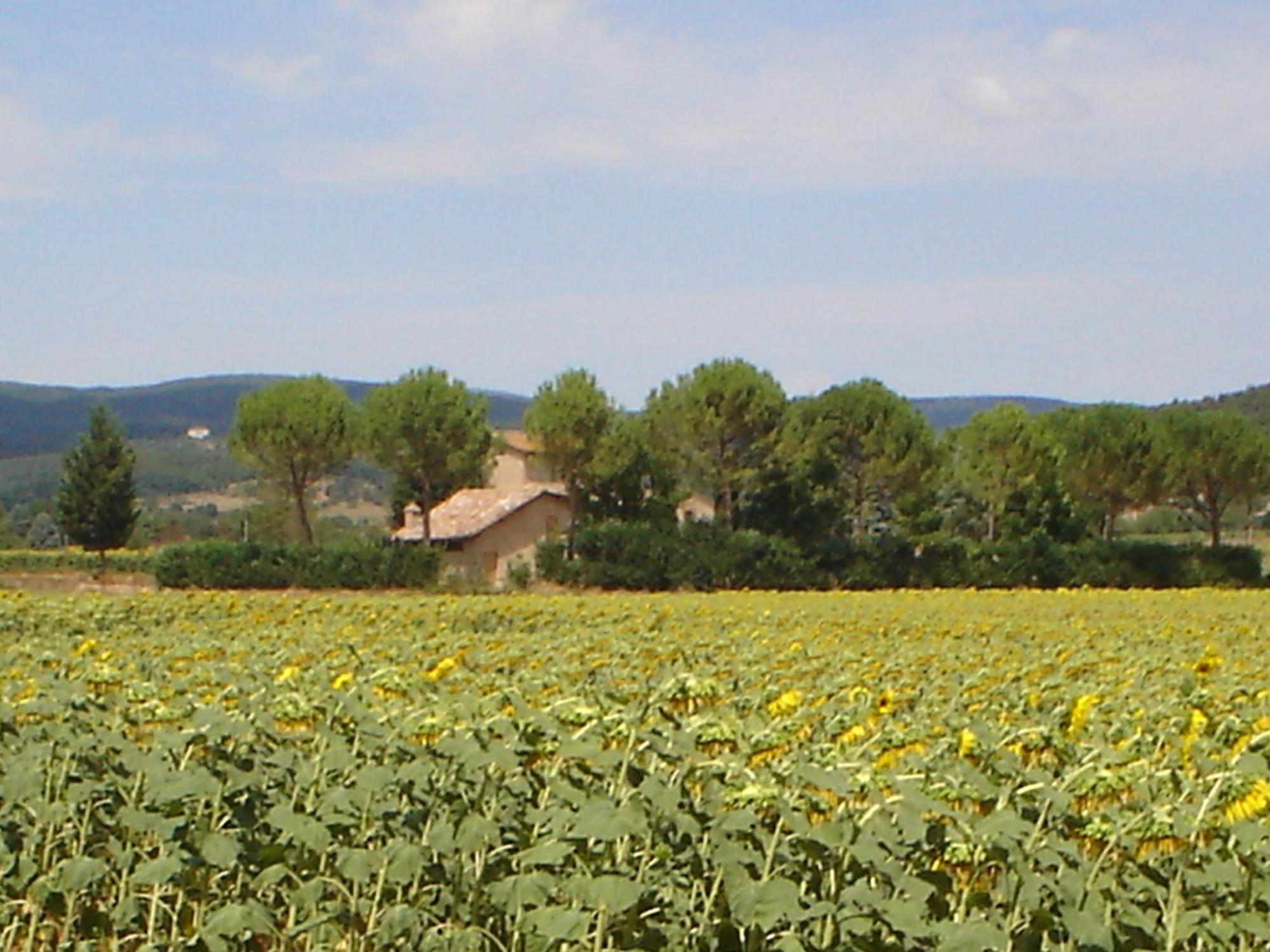 Casale Il Colombaio Di Toiano Pension Valli Buitenkant foto