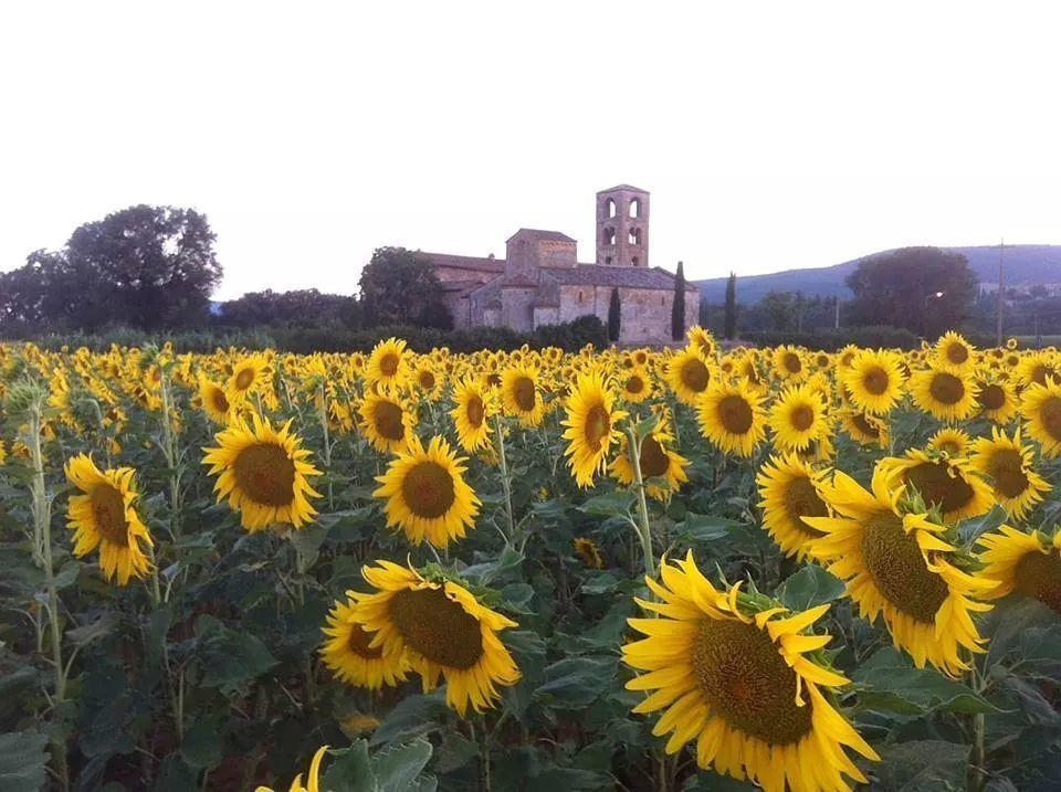 Casale Il Colombaio Di Toiano Pension Valli Buitenkant foto